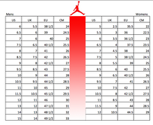 Load image into Gallery viewer, Nike Air Jordan III M