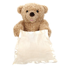 Load image into Gallery viewer, Teddy Bear